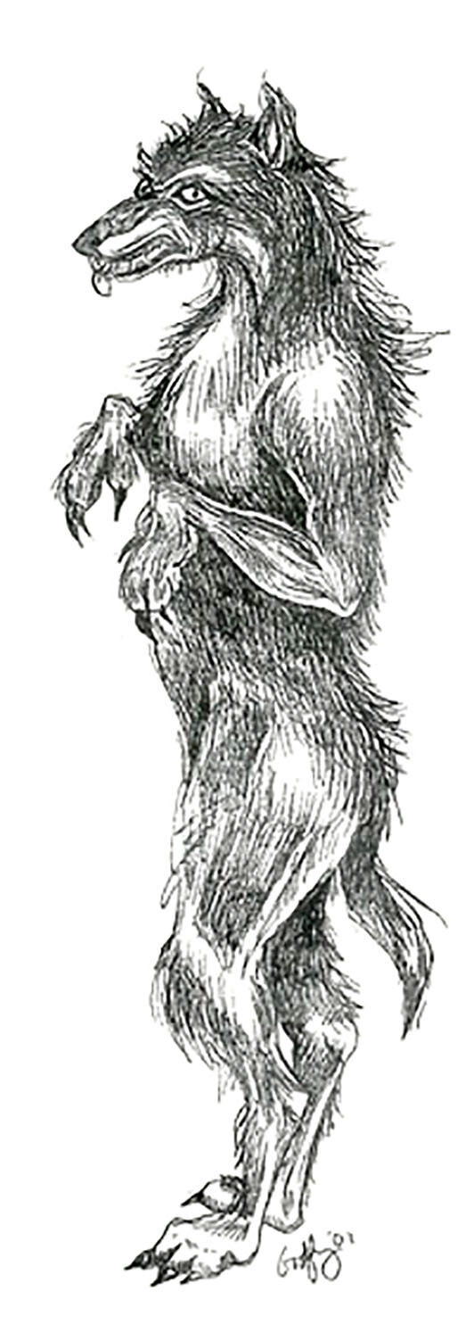 Bray Road Dogmangodfrey.jpg